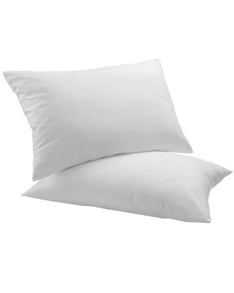 Pair of Goose Feather and Down Luxury Pillows